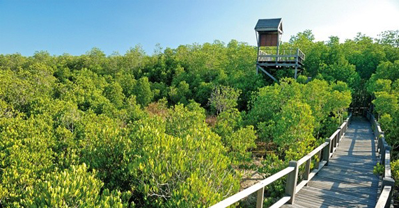 สถานที่เที่ยวหน้าฝนใกล้กรุงเทพ5