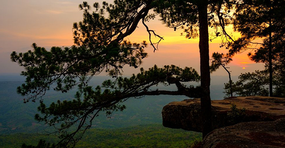 เที่ยวกางเต้นท์ที่ไหนดี4