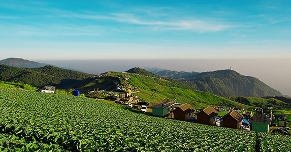 เที่ยวกางเต้นท์ที่ไหนดี1