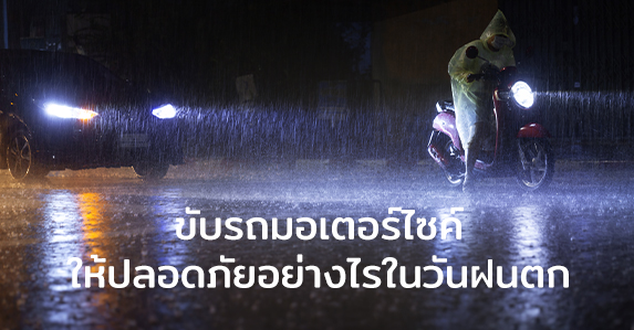 Thumbnail.jpg (13)
